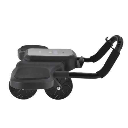 Green lion Abs Exercise Roller